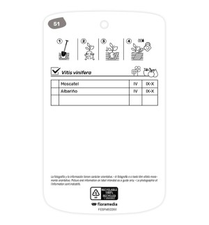 Etichette di Parra (blanca)