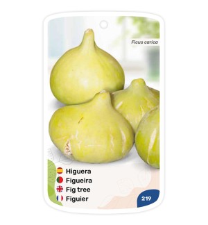 Etichette di Higuera Blanca