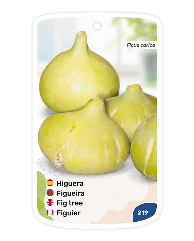 Etichette di Higuera Blanca