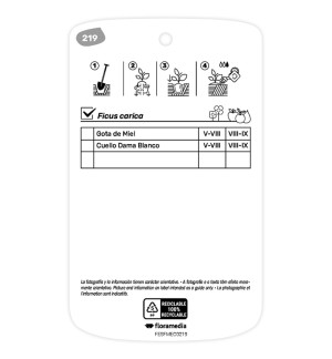 Etichette di Higuera Blanca