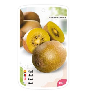 Etiquetas de Kiwi amarillo