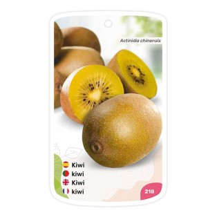 Etichette di Ortensia rossa