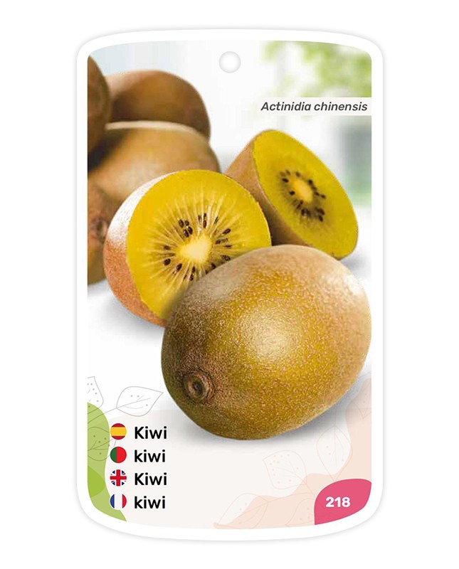 Etiquetas de Kiwi amarillo