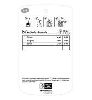 Etichette di Ortensia rossa