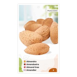 Etiquetas de Amendoeira