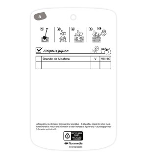 Etichette di Azufaifo