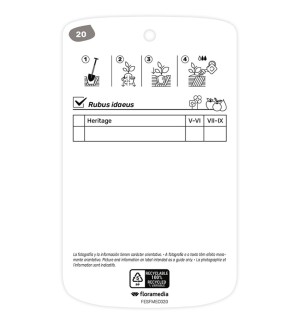 Etichette di Frambueso (rojo)