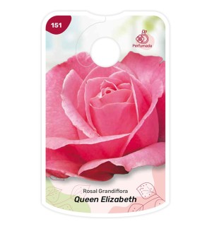 Etiquetas de Queen Elizabeth - rosa