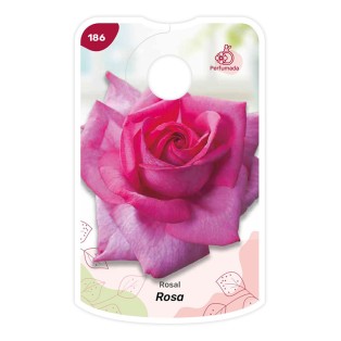 Etiquetas de Rosa - Perfumada