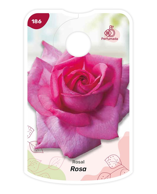 Etiquetas de Rosa - Perfumada
