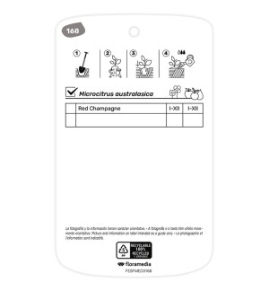 Etichette di Caviar cítrico