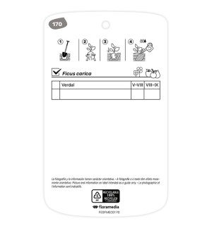 Etichette di Higuera Verdal