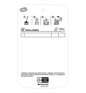 Etichette di Mano di Buda