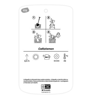 - Etichette di Callistemon