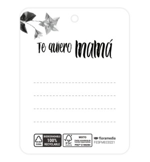 Ti voglio bene mamma