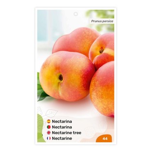 Etiquetas de Nectarina (bicolor)