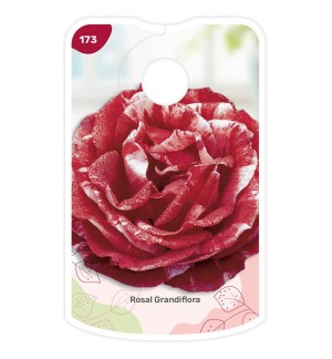 Etiquetas de Bicolor (granate - branco)