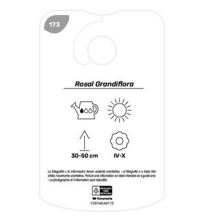 Etiquetas de Bicolor (granate - branco)