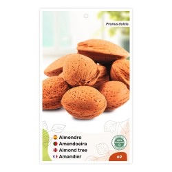 Etichette di Almendro