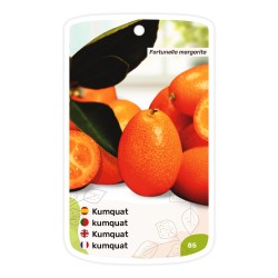 Etiquetas de Kumquat