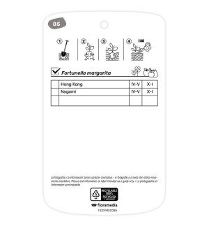 Etichette di Kumquat