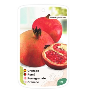 Etichette di Granado