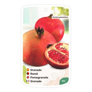 Etichette di Granado