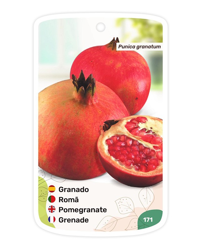 Etichette di Granado