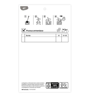 Etichette di Albaricoquero Bulida