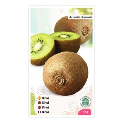 Kiwi