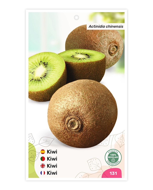 Kiwi