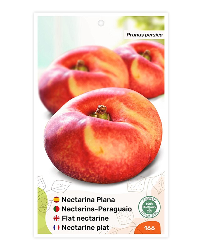 Nectarina Plana