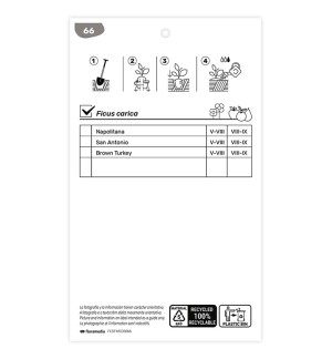 Etichette di Higuera (negra)