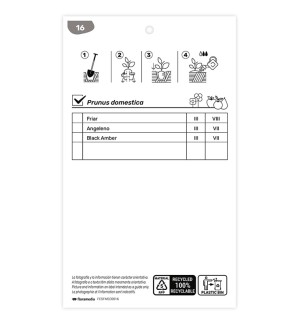 Etichette di Ciruelo Friar