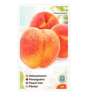 Etiquetas de Pessegueiro (bicolor)