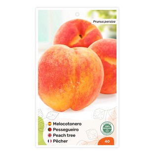 Melocotonero (bicolor amarillo)
