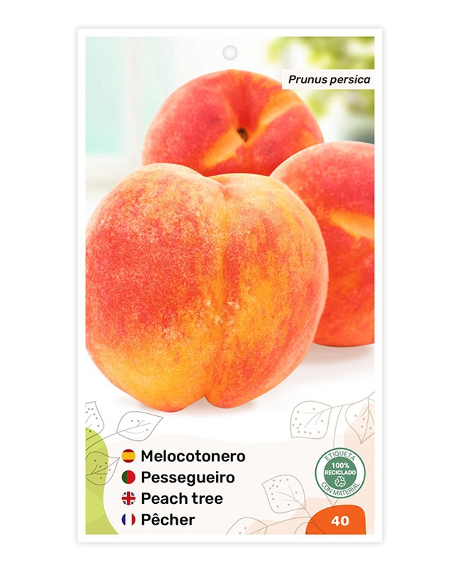 Etiquetas de Pessegueiro (bicolor)