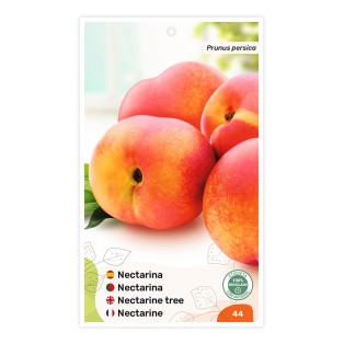 Nectarina (bicolor amarillo)