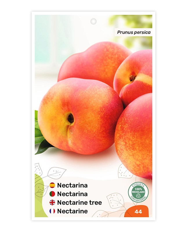 Nectarina (bicolor amarillo)