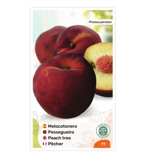 Melocotonero (rojo)