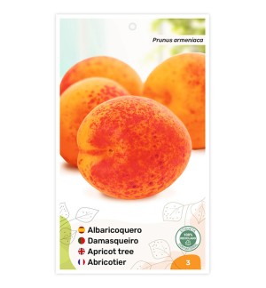 Albaricoquero (amarillo)