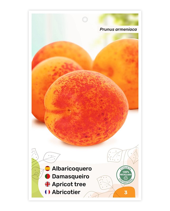 Albaricoquero (amarillo)