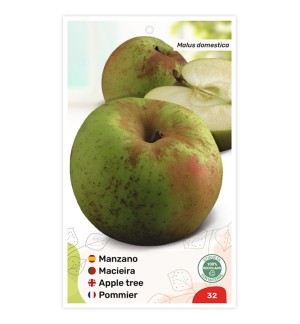 Manzano Reineta Gris