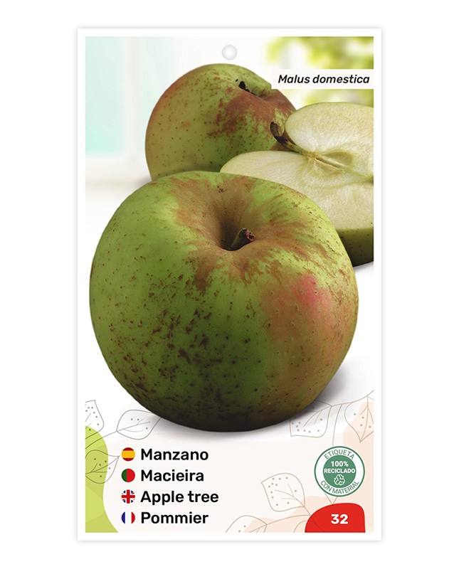 Manzano Reineta Gris