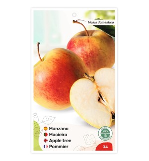 Manzano (bicolor amarillo)