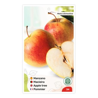 Manzano (bicolor amarillo)