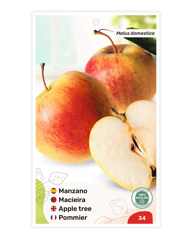 Etiquetas de Macieira bicolor