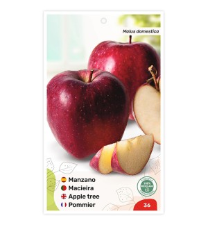 Manzano Starking Delicious