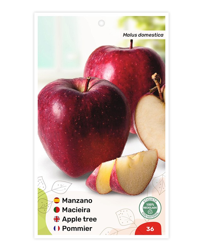 Manzano Starking Delicious