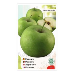 Etiquetas de Macieira Granny Smith